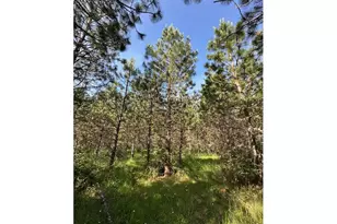 S Cedar Mill Rd, Lyons, OR 97358 - Photo 29