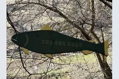 79090 Lower Imnaha River Rd, Imnaha, OR 97842 - Photo 9