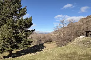 79090 Lower Imnaha River Rd, Imnaha, OR 97842 - Photo 15