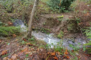 15622 SW Colyer Way, Tigard, OR 97224 - Photo 43