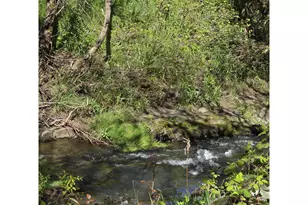 3660 Carnes Rd, Roseburg, OR 97471 - Photo 41