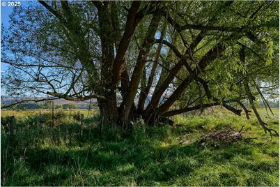 Upper Diamond Lane, Wallowa, OR 97885 - Photo 13