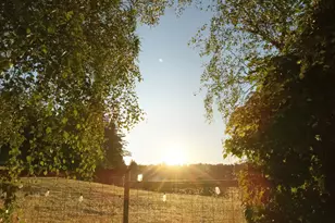 1450 Willie Way, Salem, OR 97304 - Photo 35