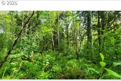 Svensen Market Rd., Astoria, OR 97103 - Photo 5