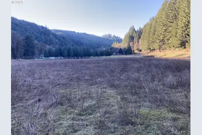 94296 Horton Rd, Blachly, OR 97412 - Photo 3