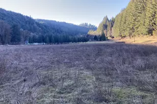 94296 Horton Rd, Blachly, OR 97412 - Photo 3