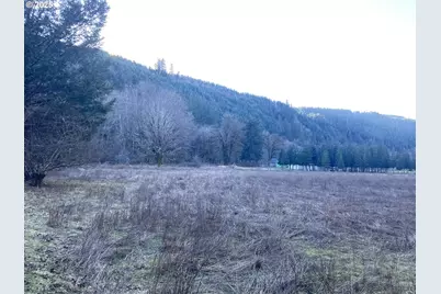 94296 Horton Rd, Blachly, OR 97412 - Photo 7