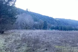 94296 Horton Rd, Blachly, OR 97412 - Photo 7