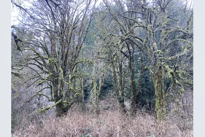 94296 Horton Rd, Blachly, OR 97412 - Photo 9