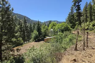 58994 Upper Imnaha Rd, Imnaha, OR 97842 - Photo 31