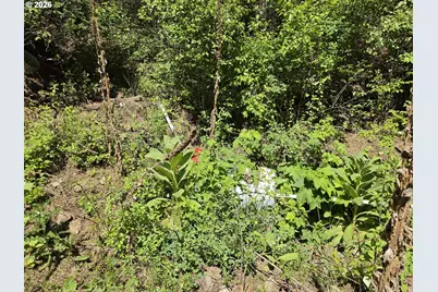 58994 Upper Imnaha Rd, Imnaha, OR 97842 - Photo 29