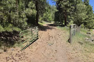58994 Upper Imnaha Rd, Imnaha, OR 97842 - Photo 3
