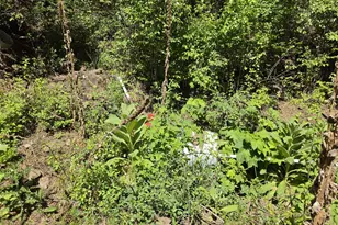 58994 Upper Imnaha Rd, Imnaha, OR 97842 - Photo 27