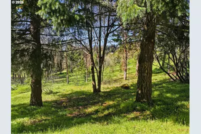 172 Palos Verdes, White Salmon, WA 98672 - Photo 45