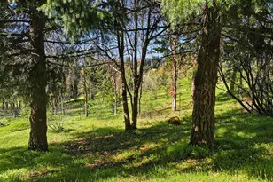 172 Palos Verdes, White Salmon, WA 98672 - Photo 45