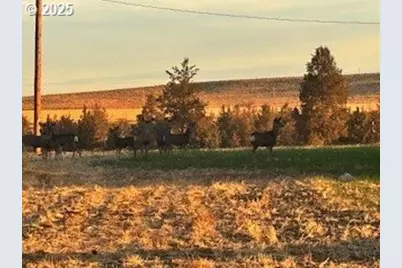 1201 N Highway 26, Madras, OR 97741 - Photo 7