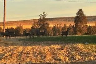 1201 N Hwy 26, Madras, OR 97741 - Photo 7