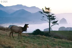 32073 Cedar Ln, Arch Cape, OR 97102 - Photo 43