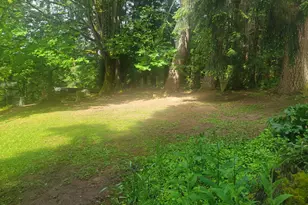 28567 Scappoose Vernonia Hwy, Scappoose, OR 97056 - Photo 5