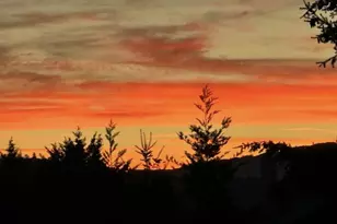 1584 NW Avery St, Roseburg, OR 97471 - Photo 47