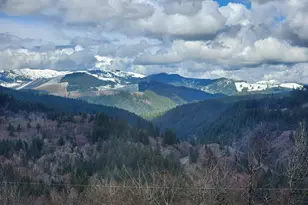 1141 Cedar Falls Rd, Washougal, WA 98671 - Photo 47