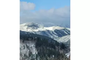 1141 Cedar Falls Rd, Washougal, WA 98671 - Photo 45