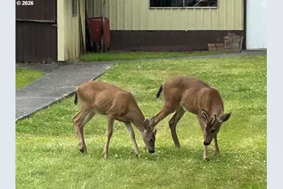 75455 Meserve Rd, Rainier, OR 97048 - Photo 29