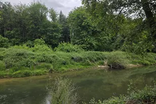 4340 State Hwy 38, Drain, OR 97435 - Photo 21
