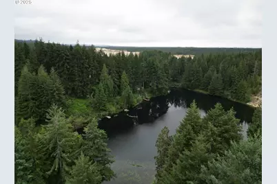 Collard Loop, Florence, OR 97439 - Photo 3