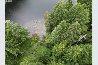 Collard Loop, Florence, OR 97439 - Photo 13