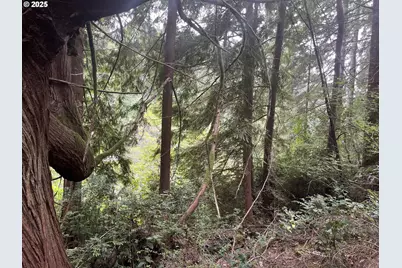 Collard Loop, Florence, OR 97439 - Photo 15