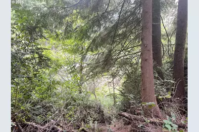 Collard Loop, Florence, OR 97439 - Photo 17
