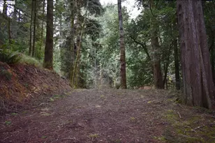 1221 N Tenmile, Lakeside, OR 97449 - Photo 37