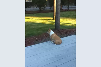 124316 Teatable Ct, Crescent Lake, OR 97733 - Photo 31