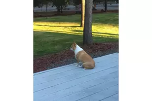 124316 Teatable Ct, Crescent Lake, OR 97733 - Photo 31