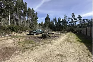 88029 Hwy 101, Florence, OR 97439 - Photo 3