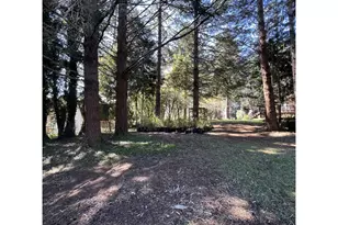 925 7th St, Brookings, OR 97415 - Photo 39