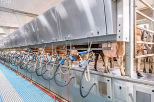 35725 Engle Rd, Albany, OR 97322 - Photo 23