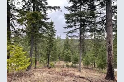 Kida Rd #4, White Salmon, WA 98672 - Photo 1
