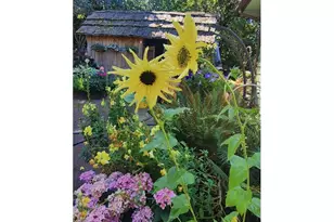 186 NE Shafford Ave, Estacada, OR 97023 - Photo 47