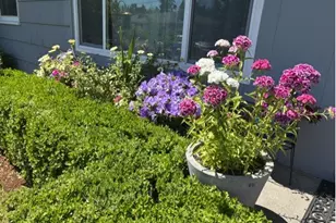 1107 SE 123rd Ave, Portland, OR 97233 - Photo 3