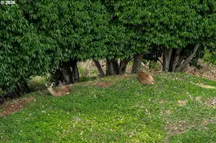 93961 Bridge View Ln, North Bend, OR 97459 - Photo 45