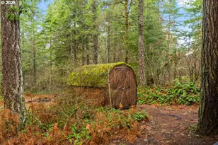 62 Sadie Road, Carson, WA 98610 - Photo 23