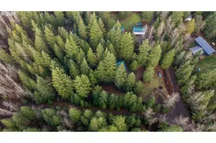 62 Sadie Road, Carson, WA 98610 - Photo 31