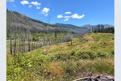 51789 Gates E, Gates, OR 97346 - Photo 13