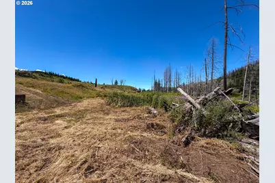 51789 Gates E, Gates, OR 97346 - Photo 11
