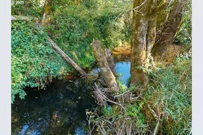 67836 Nehalem Hwy, Vernonia, OR 97064 - Photo 39