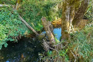 67836 Nehalem Hwy, Vernonia, OR 97064 - Photo 39