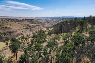 1056 Rock Creek Rd, Goldendale, WA 98620 - Photo 21