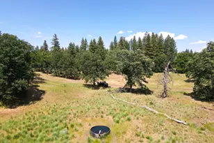 1056 Rock Creek Rd, Goldendale, WA 98620 - Photo 19
